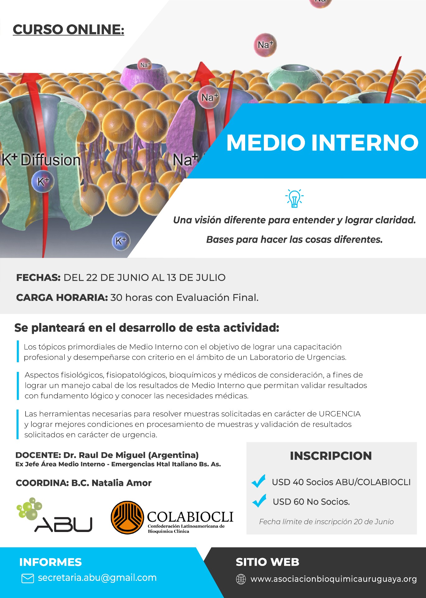Medio Interno